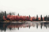 Nature landscape outdoors forest. AI generated Image by rawpixel.