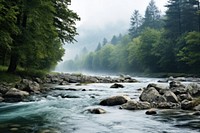 River nature wilderness landscape. 