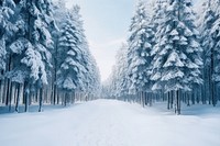 Snow forest backgrounds landscape outdoors. AI generated Image by rawpixel.
