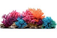 Coral reef nature plant sea. AI generated Image by rawpixel.