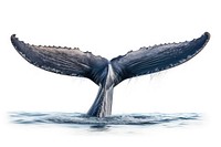 Humpback whale tail animal mammal fish. AI generated Image by rawpixel.