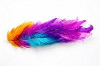 Mardi gras feather Boa purple white background lightweight. AI generated Image by rawpixel.