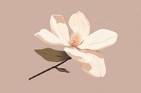 Magnolia blossom flower petal. AI generated Image by rawpixel.
