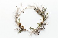 Christmas frame wreath jewelry plant. 