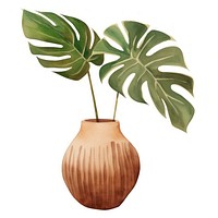 Tropical plant vase leaf white background. 