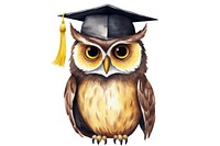 Owl graduate graduation animal bird. AI generated Image by rawpixel.
