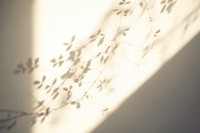 Wall sunlight branch nature. AI generated Image by rawpixel.