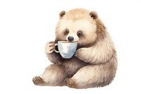 Bear drink coffee mammal animal cute. 