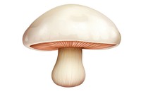 Mushroom fungus agaric white background. 