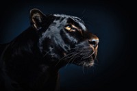 Black panther face wildlife animal mammal. AI generated Image by rawpixel.