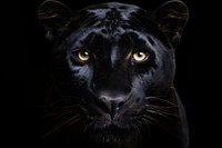 Black panther face wildlife animal mammal. AI generated Image by rawpixel.