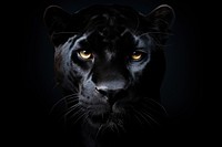 Black panther face wildlife animal mammal. AI generated Image by rawpixel.