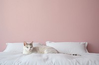 Cat on a bed, minimal photo. AI generated image by rawpixel.