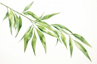 Bamboo plant herbs leaf. AI generated Image by rawpixel.
