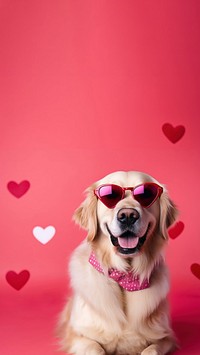 Dog sunglasses retriever portrait. 