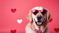 Dog sunglasses retriever portrait. AI generated Image by rawpixel.