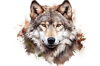Wolf wolf mammal animal. AI generated Image by rawpixel.