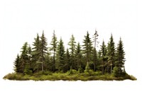 North american forest vegetation outdoors woodland. AI generated Image by rawpixel.