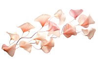 Falling flowers petal plant white background. AI generated Image by rawpixel.