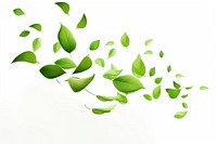 Green leaves plant leaf branch. AI generated Image by rawpixel.