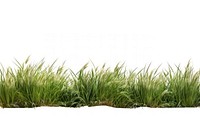 Wild grass land outdoors nature plant. AI generated Image by rawpixel.