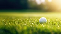 Photo of golf ball in the green grass close to the hole, natural light. 