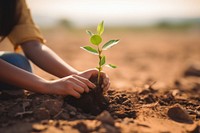 Girl planting a small tree outdoors nature soil. 