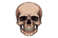 Human skull white background anthropology portrait. AI generated Image by rawpixel.