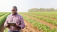 Photo of Black American farmer with digital tablet in potato field. AI generated Image by rawpixel.