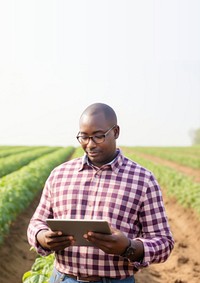Photo of Black American farmer with digital tablet in potato field. AI generated Image by rawpixel.