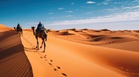 photography of camel in desert landscape . 