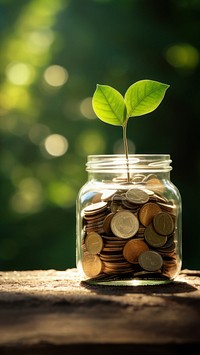 photo of coins in a mason jar, with a small sprout. 