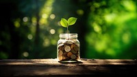 photo of coins in a mason jar, with a small sprout. 