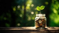 photo of coins in a mason jar, with a small sprout. 