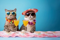 photo of cute cats wearing glasses drinking cocktail from the same glass. 