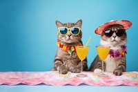 photo of cute cats wearing glasses drinking cocktail from the same glass. 