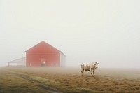 Dairy farm cow architecture countryside.