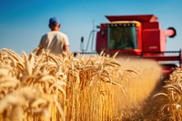 Harvest field agriculture machinery. 