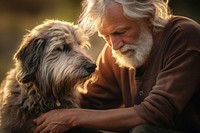 Senior dog photography portrait. 