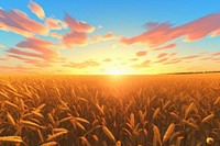 Sunset cornfield landscape agriculture sunlight. AI generated Image by rawpixel.