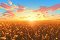 Sunset cornfield landscape agriculture sunlight. 