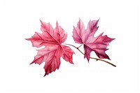 A leave maple plant leaf. AI generated Image by rawpixel.