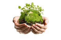 Hand holding plant green. AI generated Image by rawpixel.