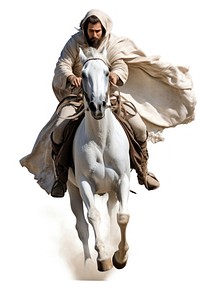 Medieval chilvary ride a horse mammal animal adult. AI generated Image by rawpixel.