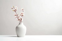 Aesthetic flower vase porcelain blossom plant. 