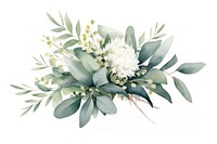 Eucalyptus bouquet flower plant leaf. AI generated Image by rawpixel.