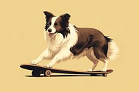 Border Collie skateboard mammal animal. 