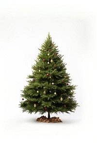 Christmas decolation tree plant pine. AI generated Image by rawpixel.