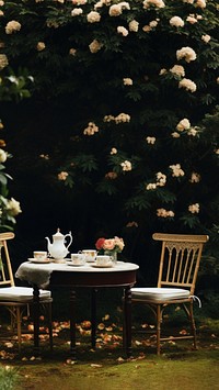 Photo of aftenoon tea in the garden. 