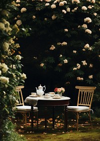 Photo of aftenoon tea in the garden. 